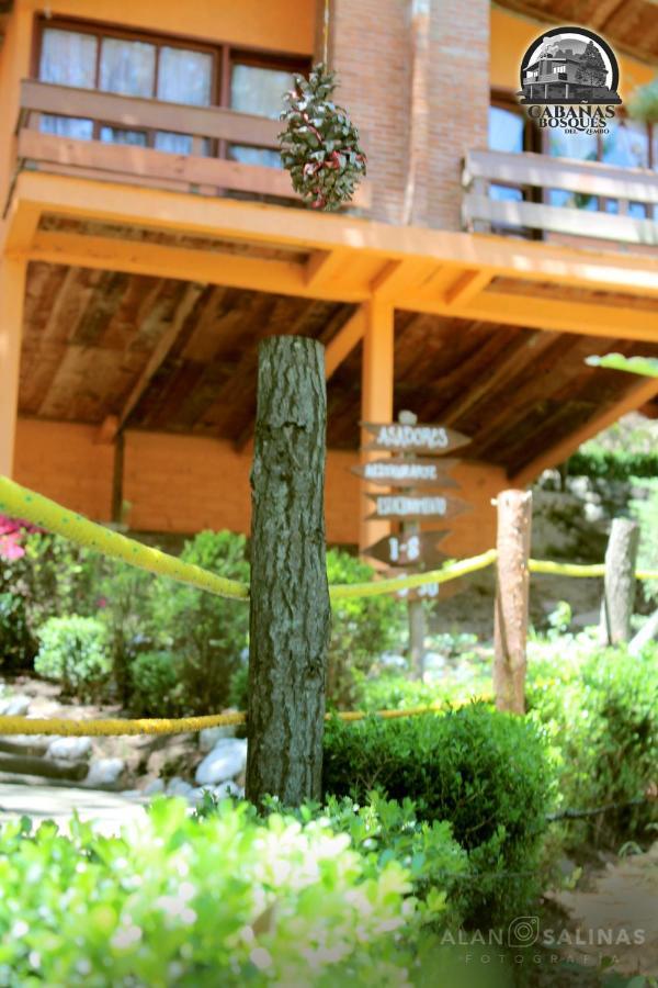 Cabanas Los Bosques Del Zembo Huasca de Ocampo Kültér fotó