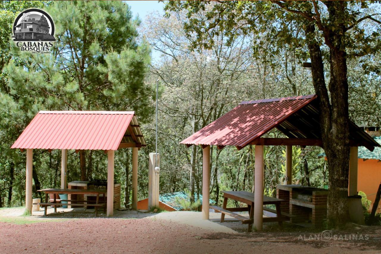 Cabanas Los Bosques Del Zembo Huasca de Ocampo Kültér fotó