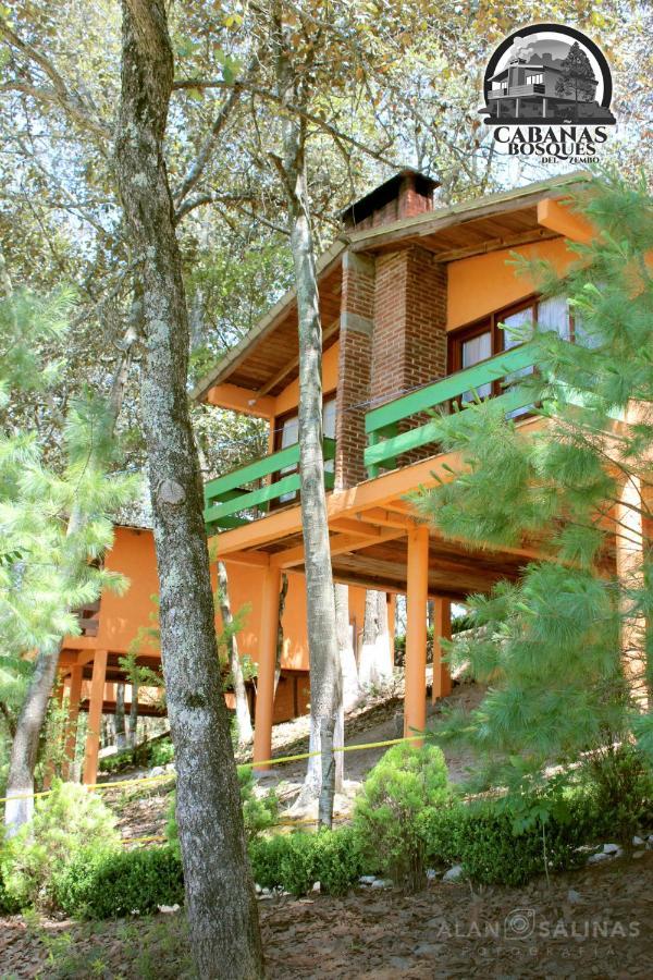 Cabanas Los Bosques Del Zembo Huasca de Ocampo Kültér fotó