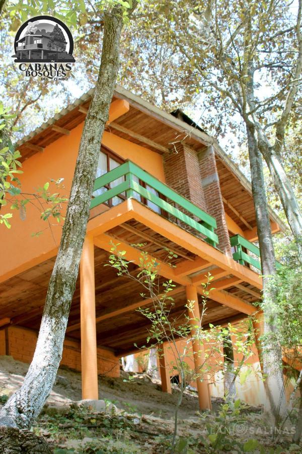 Cabanas Los Bosques Del Zembo Huasca de Ocampo Kültér fotó