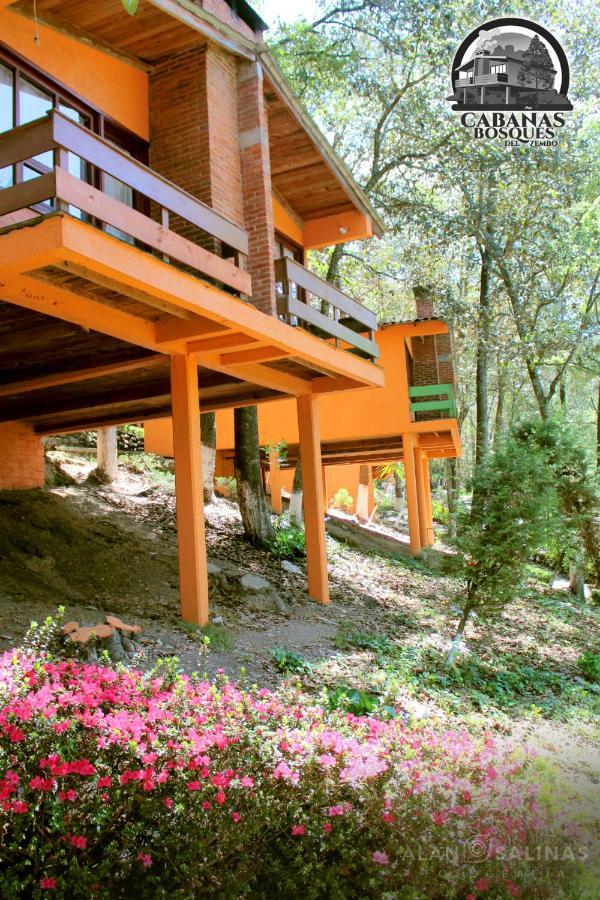 Cabanas Los Bosques Del Zembo Huasca de Ocampo Kültér fotó