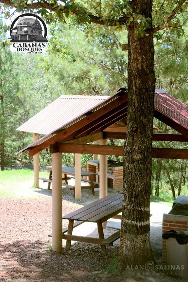 Cabanas Los Bosques Del Zembo Huasca de Ocampo Kültér fotó