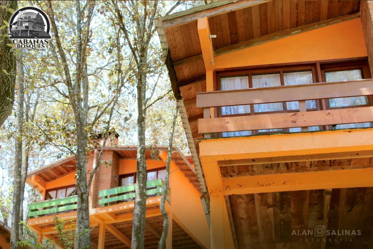Cabanas Los Bosques Del Zembo Huasca de Ocampo Kültér fotó