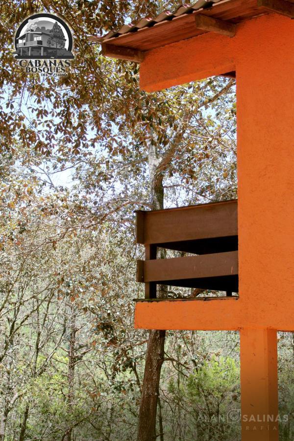 Cabanas Los Bosques Del Zembo Huasca de Ocampo Kültér fotó