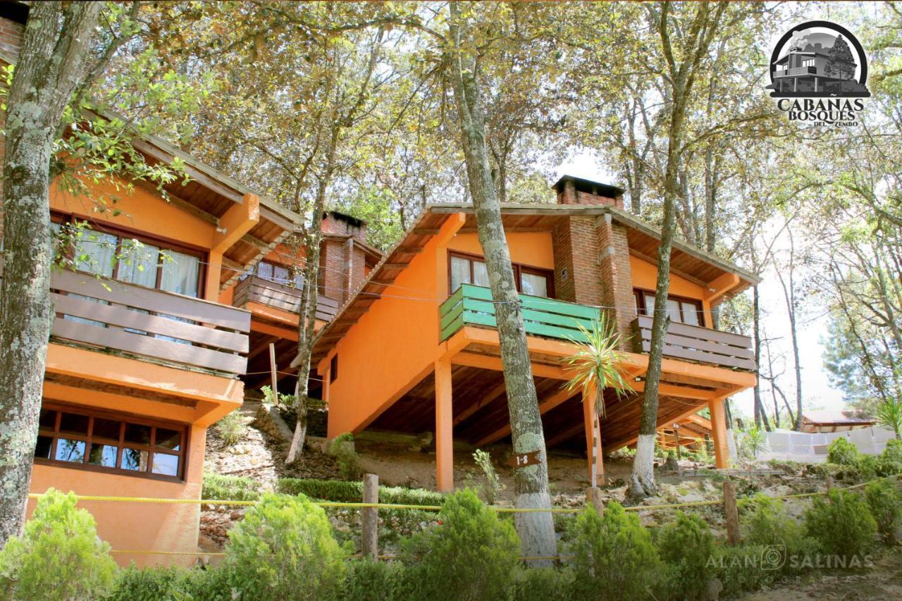 Cabanas Los Bosques Del Zembo Huasca de Ocampo Kültér fotó