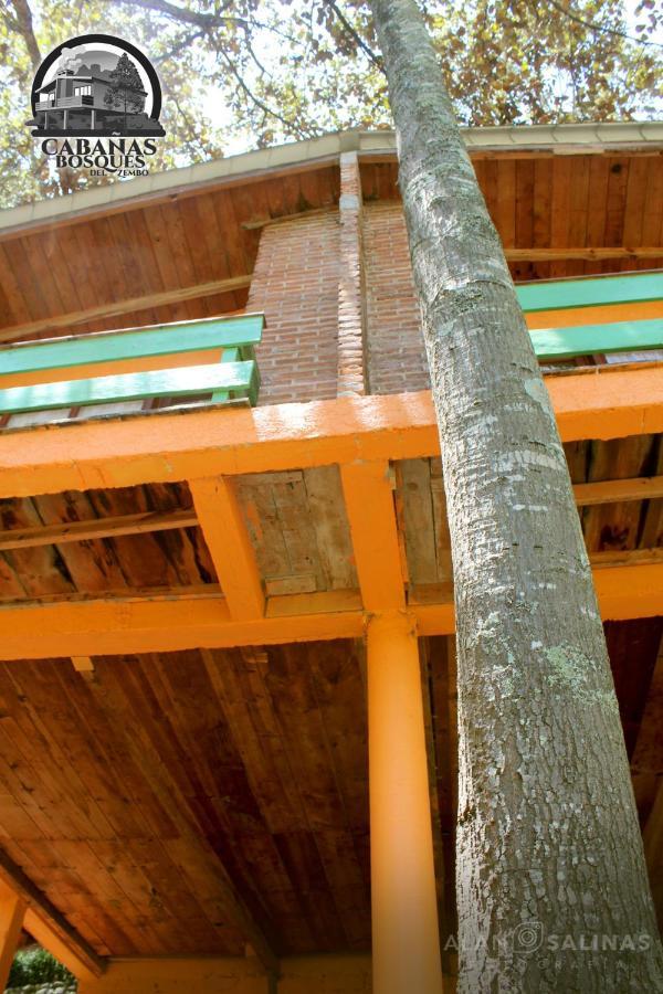 Cabanas Los Bosques Del Zembo Huasca de Ocampo Kültér fotó