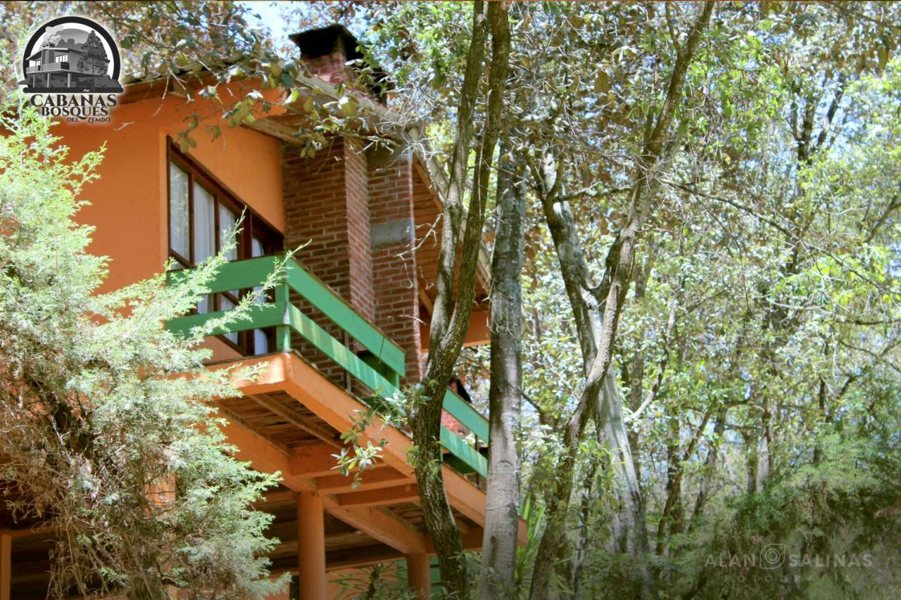 Cabanas Los Bosques Del Zembo Huasca de Ocampo Kültér fotó