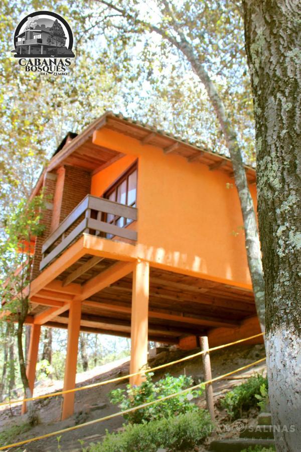 Cabanas Los Bosques Del Zembo Huasca de Ocampo Kültér fotó