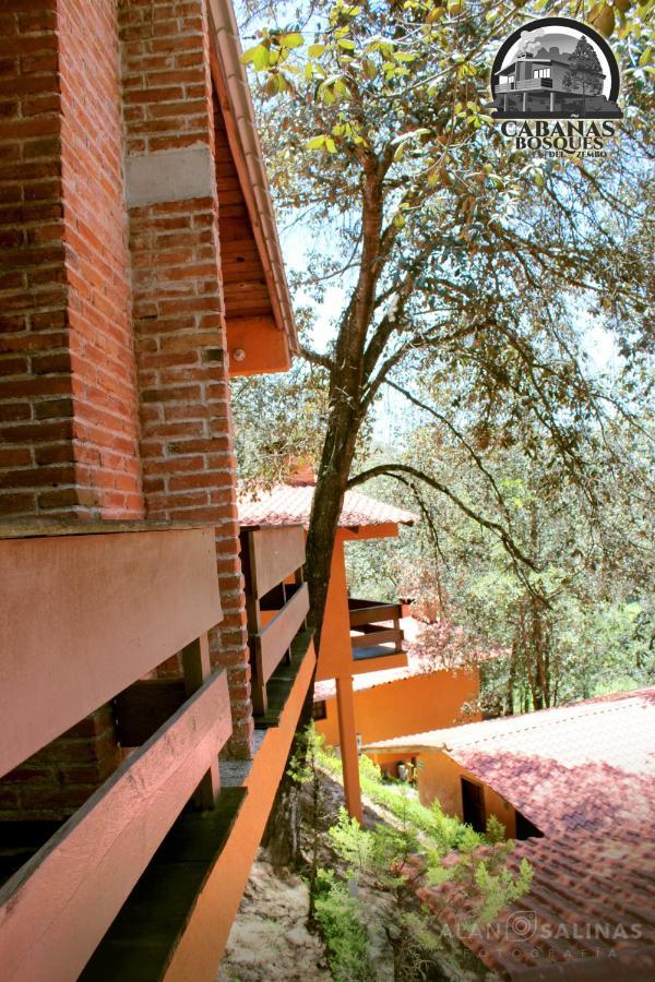 Cabanas Los Bosques Del Zembo Huasca de Ocampo Kültér fotó