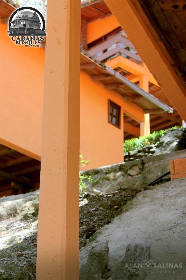 Cabanas Los Bosques Del Zembo Huasca de Ocampo Kültér fotó