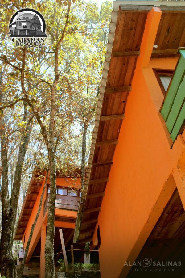 Cabanas Los Bosques Del Zembo Huasca de Ocampo Kültér fotó